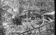 Bridge at Falls Hut
