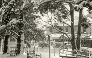 Ferntree Hotel: stereoview photo