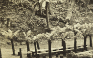Ferntree Bower: stereoview photo