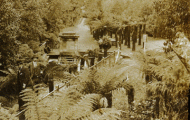 Ferntree Bower: stereoview photo