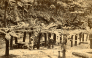Ferntree Bower: stereoview photo