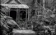 Grasstree Hut