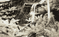 Silver Falls: stereoview photo