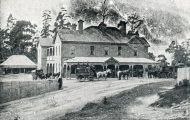 Fern Tree Hotel