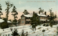 Fern Tree Hotel