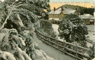 Fern Tree Hotel