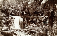 Silver Falls