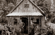 Waratah Hut