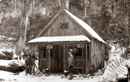 Waratah Hut
