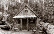 Waratah Hut