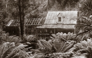 Wellington Hut