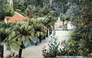 Fern Tree Bower