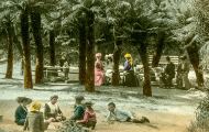 Picnic at Fern Tree Bower