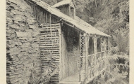 Cluster Grove Hut