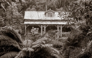 Cluster Grove Hut