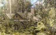 Falls Hut