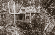 Falls Hut.