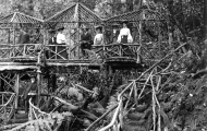 Bridge at Falls Hut