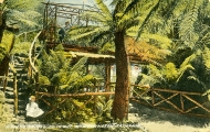 Bridge at Falls Hut