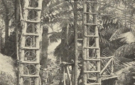 Fernlea Hut