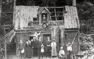 Fern Grove Hut