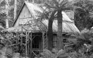 Forest Hut