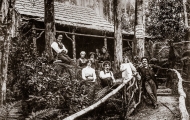 Forest Hut