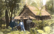 Forest Hut