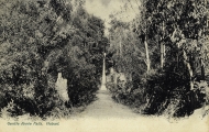 Gentle Annie Falls. Photo from our collection.
