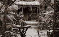 Grass Tree Hut