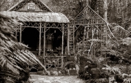 Grass Tree Hut