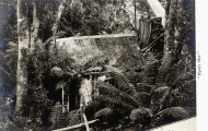 Myrtle Hut