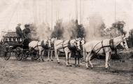 Charabanc at the Springs. Postcard.