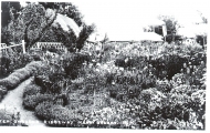 Tea Gardens, The Homestead, Ridgeway