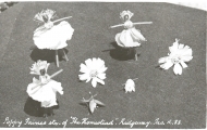 Poppy fairies, The Homestead, Ridgeway
