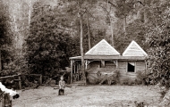 Wattle Grove 2 Hut