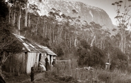Woods Hut