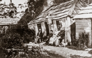 Woods Hut